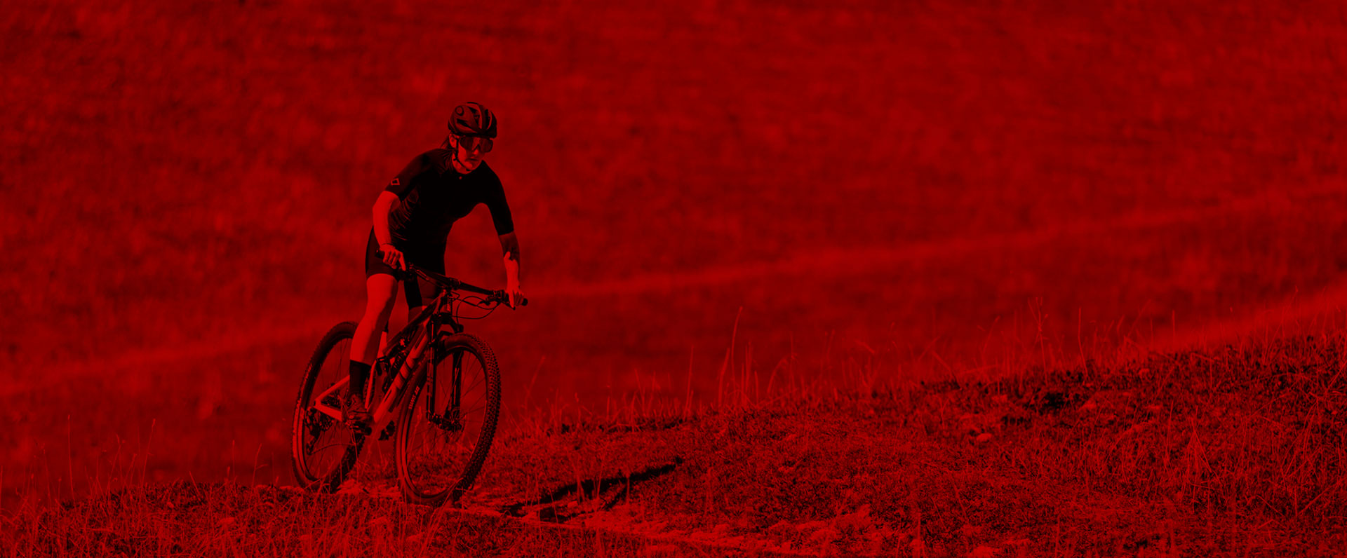 Banner sobre BMC versión escritorio